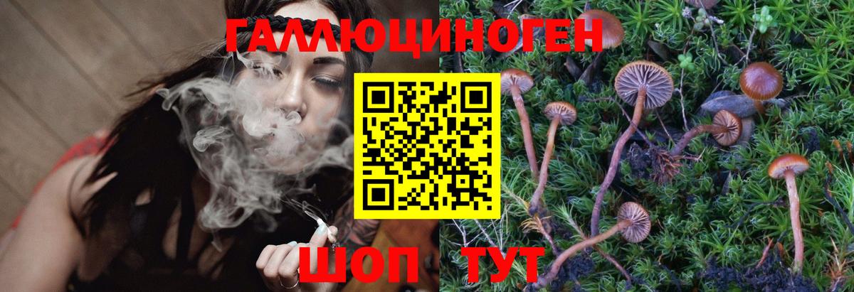 Качканар  Галлюциногенные грибы GOLDEN TEACHER  Вход с VPN 
